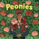 Peonies Single