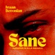 Sane Mridul Kala Remix Single