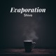 Evaporation Single