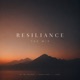 Resilience Taz Mix Single