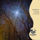 Moonlight Rain Single