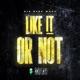 Like it or Not feat Weez Single