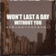 I Won t Last a Day Without You Single