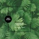 Sience of Groove Single