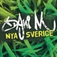 Nya Sverige Single