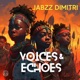 Voices Echoes Single