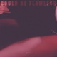 Could Be Flawless Single