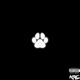 Trap Dog Single