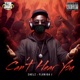 Can t Hear You feat SHELZ Single