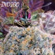 Og Kush Single