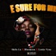 E Sure for Me feat Shifu Lu Bluemoon Single
