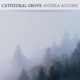 Cathedral Grove Single