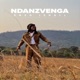Ndanzvenga Single