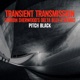 Transient Transmission Adrian Sherwood s Delta B 0 B Remix Single