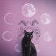 Gato Preto Single