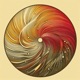 Circles Single