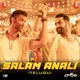 Salam Anali From WAR 2 Telugu Version Single