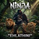 Ehlathini Single
