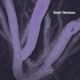 Remixes Single