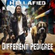 Different Pedigree EP