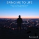 Bring Me To Life Single