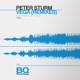 Vega Remixes Single