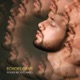 Echoes Of Us feat Natio Single