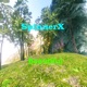 Beautiful Single