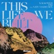 This Life We Built feat Nate VanDeusen Single