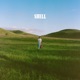 Shell Single