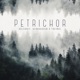 Petrichor The Micronaut Single