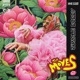 The Moves Single
