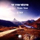 Stay feat Robin Vane Single