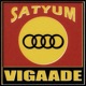 Vigaade Single