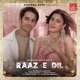Raaz E Dil Single