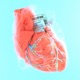 Cellophane Single
