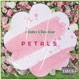 Petals feat Dane Amar Single