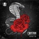 Nirali EP