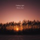 Fading Light Single