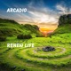 Renew Life Single