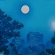 Mystery of the Night Single