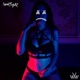 Spotlight Single