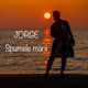 Spumele Marii Single
