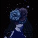 Wildcard Remixes