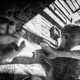 Bearing Witness Single