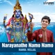 Narayanathe Namo Namo Single