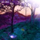 Golden Soul Forest Single