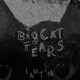 Big Cat Fears Single