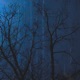 Nightmare Single