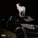 BRABUS Single